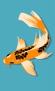 Koi fish. Vector illustration in flat style